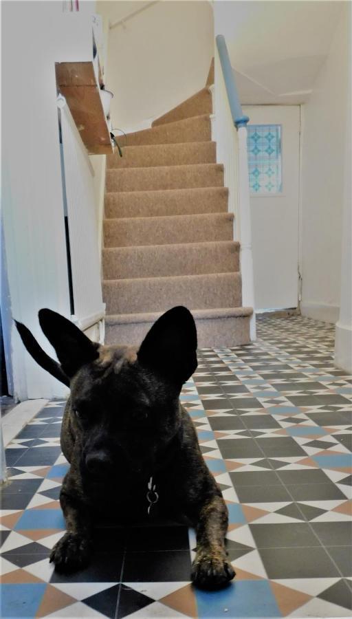 The Bear Bread Bakery B&B, Ensuite Rooms Above The Bakery, Colyton 외부 사진